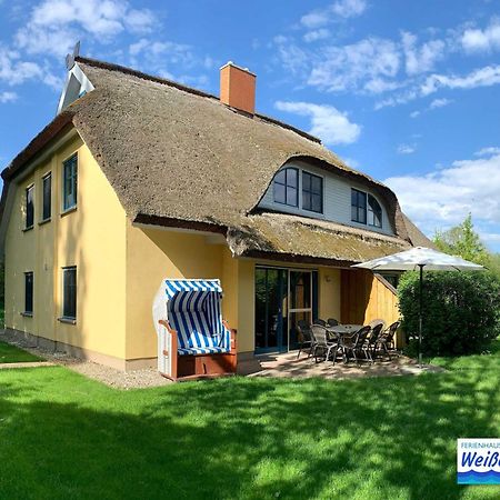 Familienfreundliches Reetdachhaus Weissdorn 2 Villa Puddemin Ngoại thất bức ảnh
